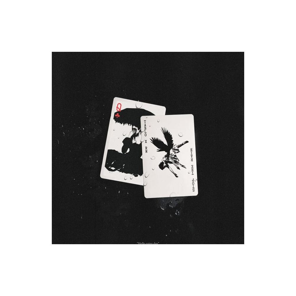 BTS ALBUM TABLO X RM - Stop The Rain