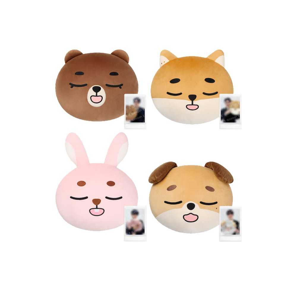 DAY6 MD / GOODS 【9月発売】DAY6 - DENIMALZ FACE CUSHION - The DECADE FINALE
