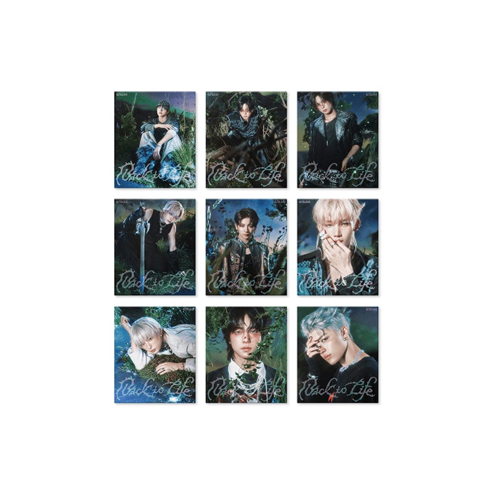 &TEAM - KR 1st アルバム Back to Life (ROAR ver.)