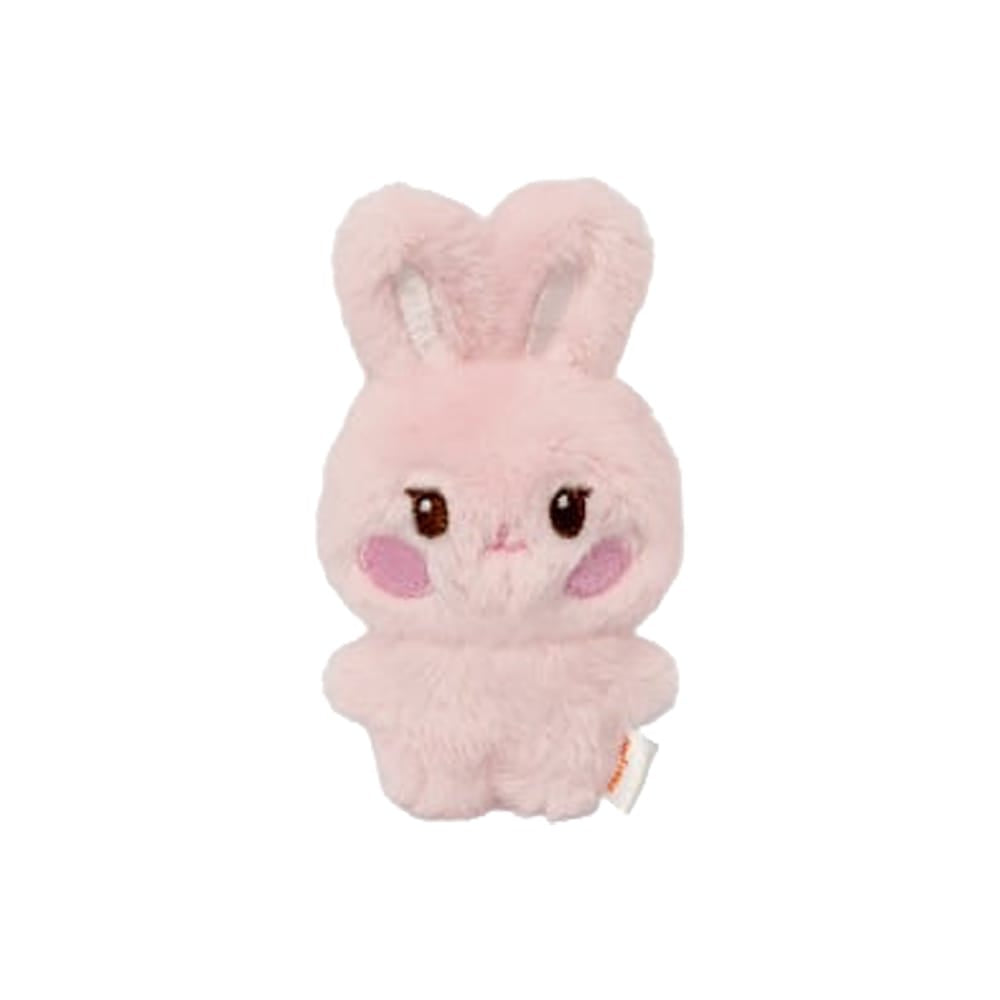 ATEEZ MD / GOODS ATEEZ - [ANITEEZ IN DEJAVU] TINY ANITEEZ MINI DOLL