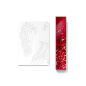 BTS PHOTOBOOK BTS V - V フォトブック TYPE 非 SET