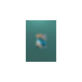 EXO ALBUM EXO チェン - The 5th ミニアルバム ARCADIA