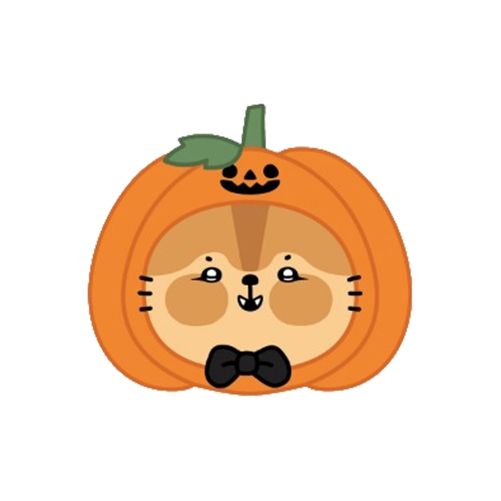 KIM JUNSU MD / GOODS キム・ジュンス XIA - [RAMXIA HALLOWEEN PARTY] フェイス マスコットキーホルダー