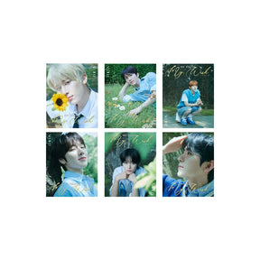 NCT WISH MD / GOODS (KAKAO, Weverse) NCT WISH - DICON VOLUME N°29 MY YOUTH, MY WISH (A-TYPE)