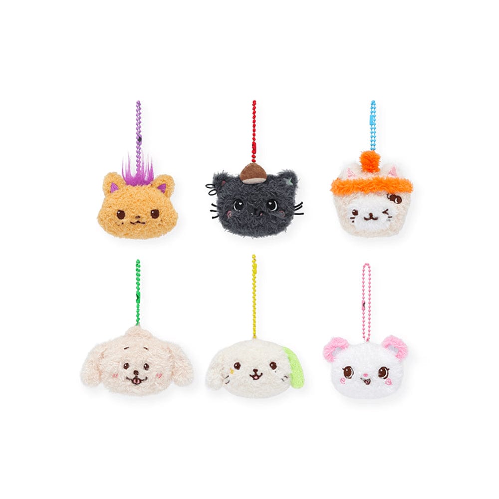 NCT WISH MD / GOODS NCT WISH -  [INTO THE WISH : Our WISH] FANLIGHT DOLL KEY RING