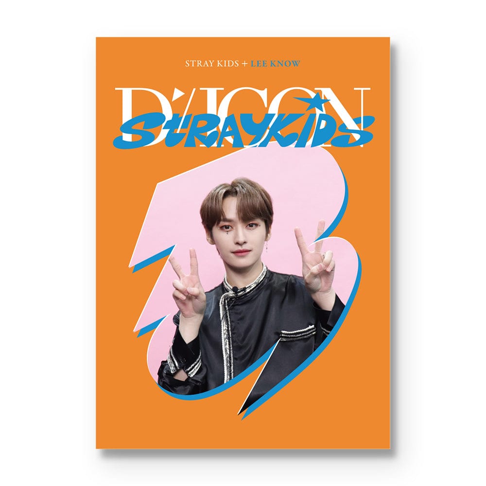 Stray Kids MD / GOODS 2. LEE KNOW Stray Kids - DICON D’FESTA MINI EDITION