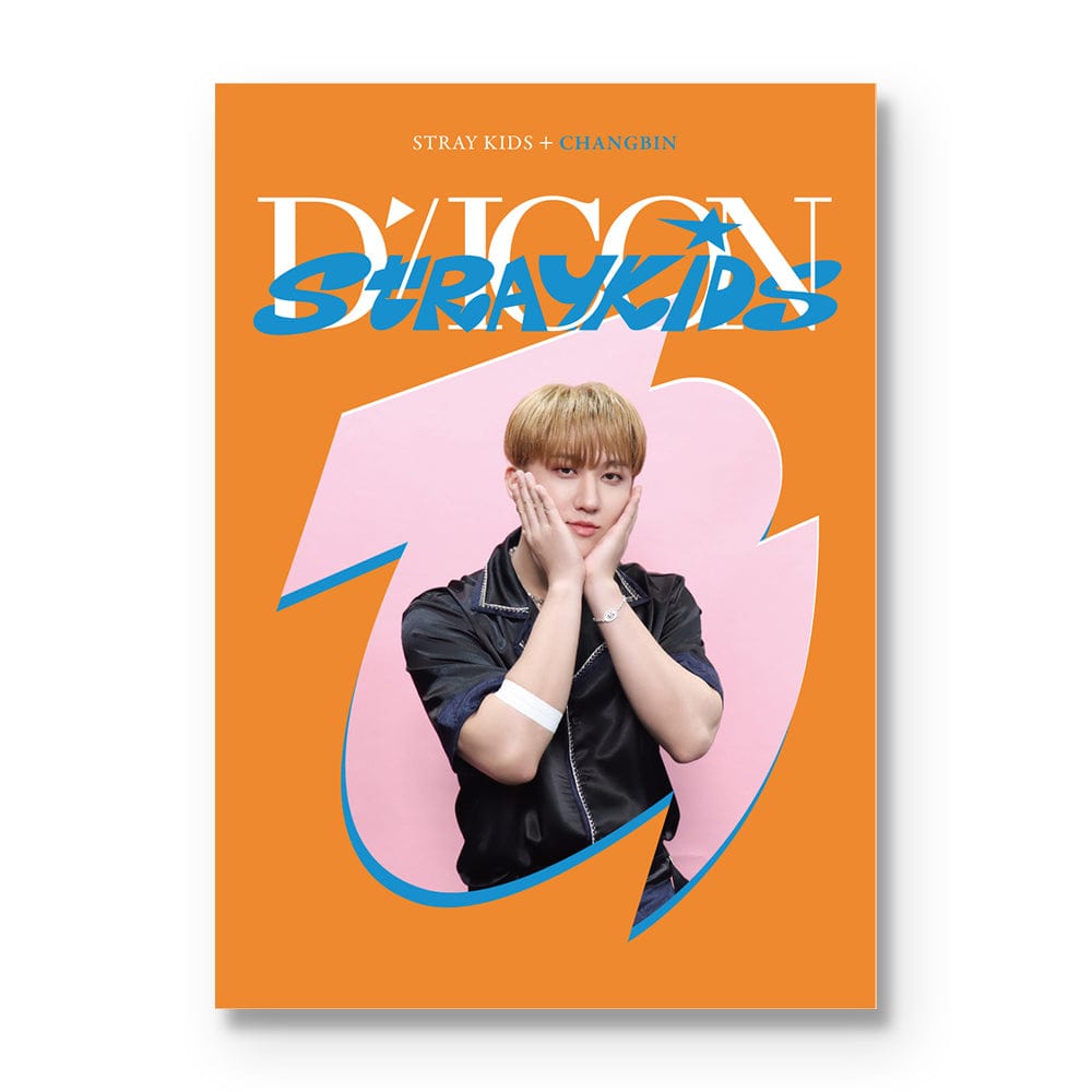 OUTLET】Stray Kids - DICON D'FESTA MINI EDITION